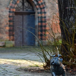 2026-01-08 Brandenburg an der Havel/Waldmöpse/DSC_2275.JPG